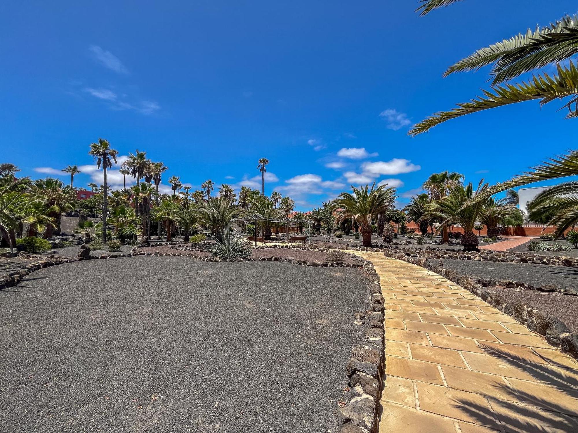 Apartamentos Oasis Royal Corralejo F314 Экстерьер фото